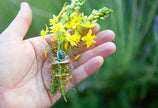 Mountains to the Sea, Sonoran Mountain Turquoise Finger Cuff