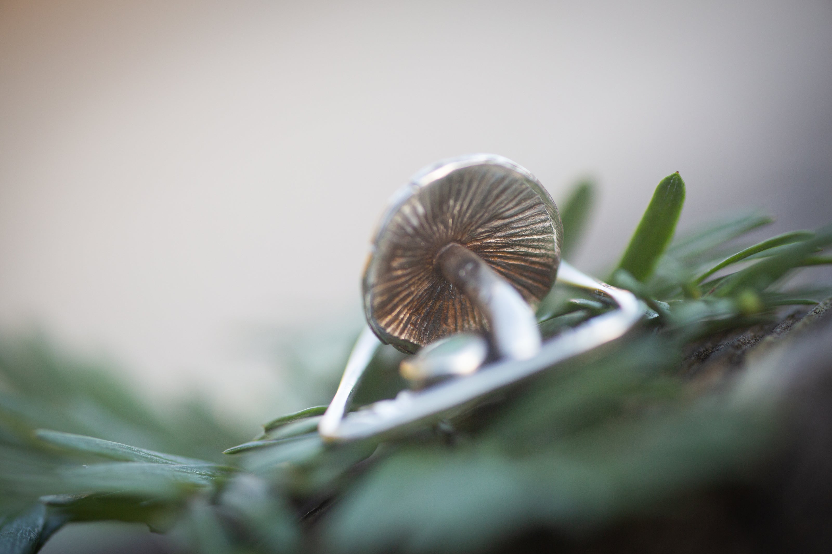Sterling Silver and Opal Mushroom Necklace