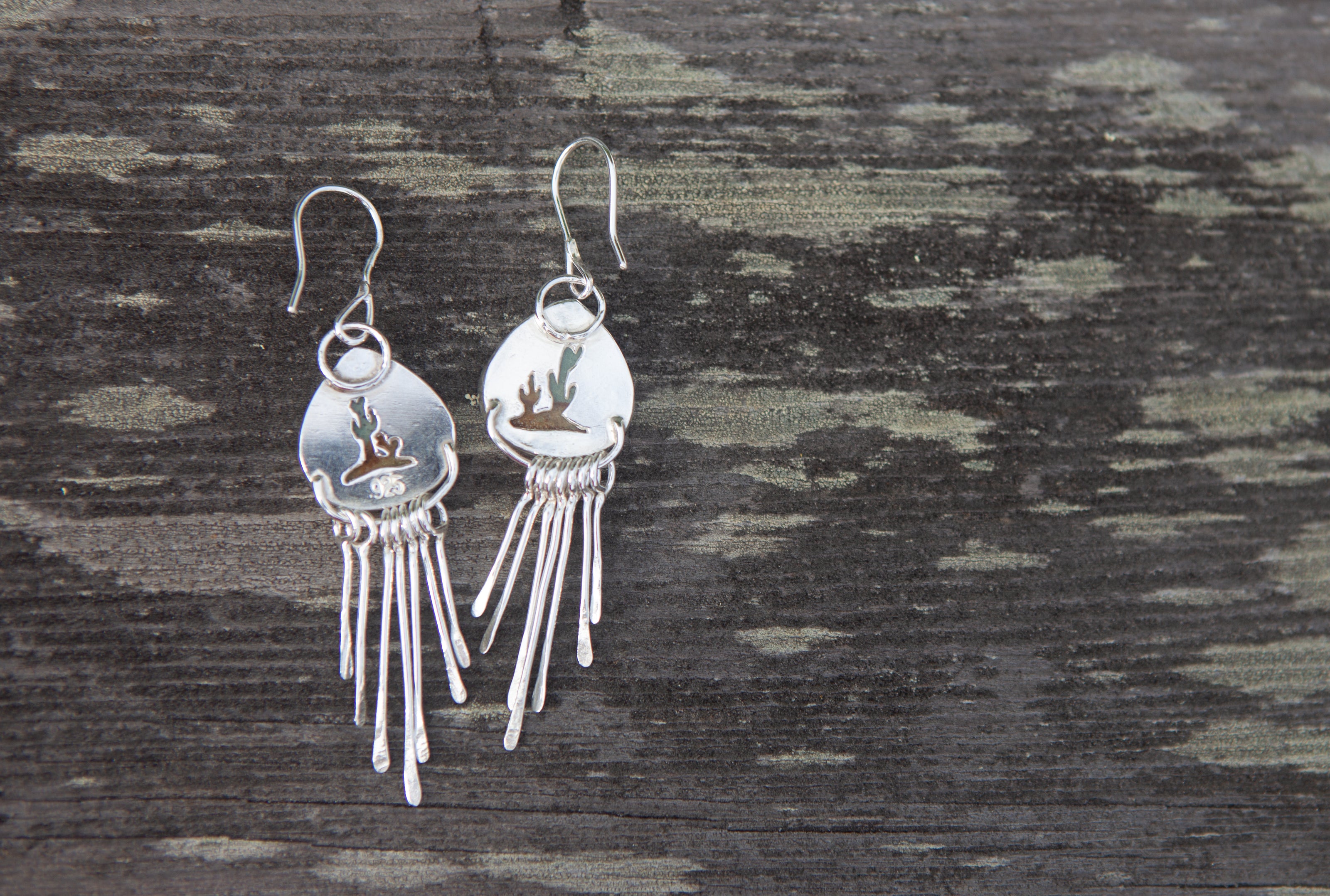 Desert Fringe Earrings with Polychrome Jasper