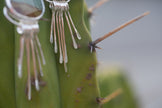 Desert Fringe Earrings with Polychrome Jasper