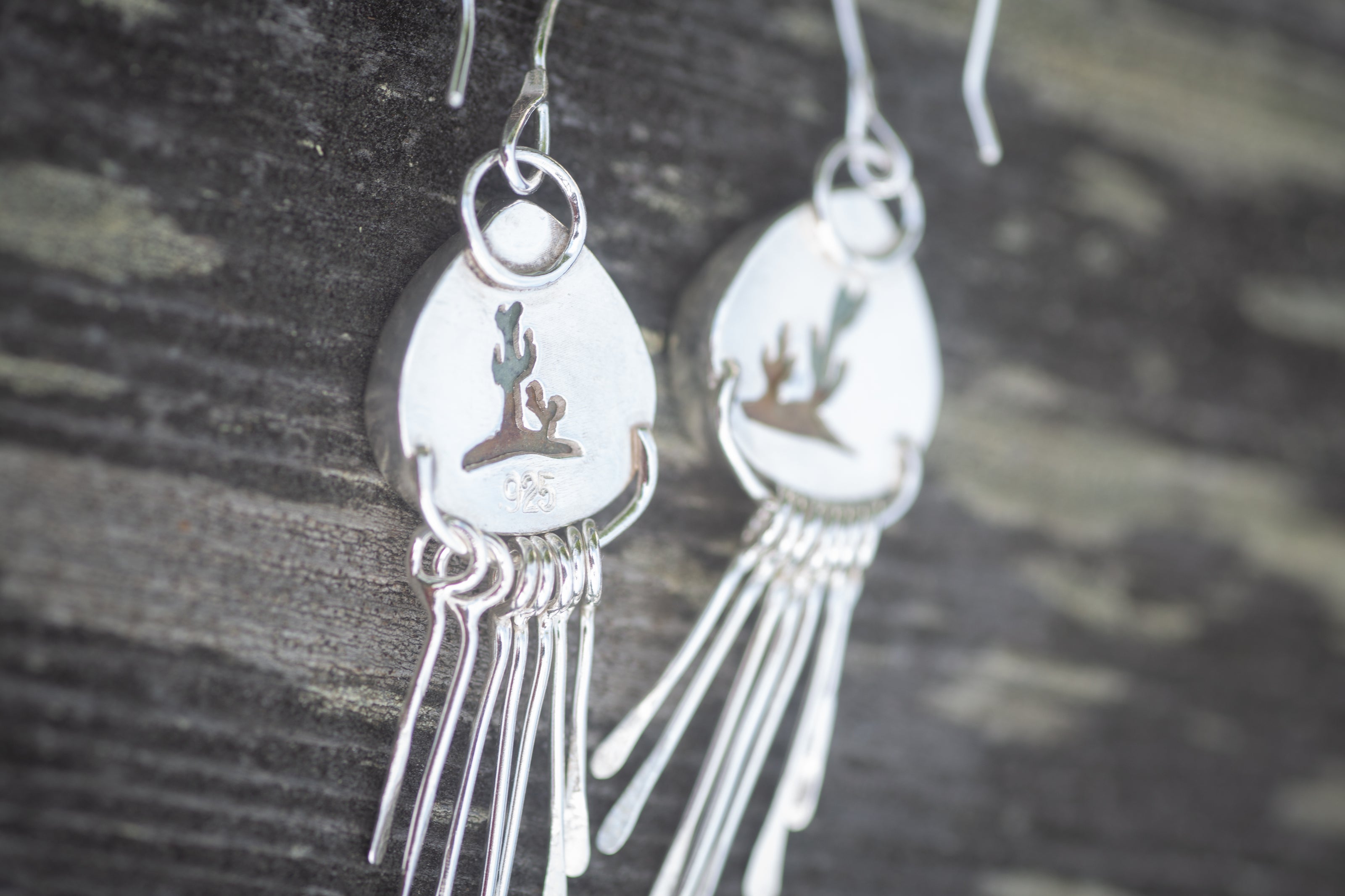 Desert Fringe Earrings with Polychrome Jasper